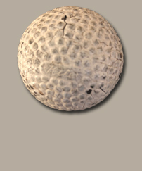 M2218L